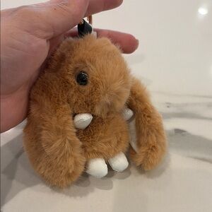 Plush Brown Small Pet Toy